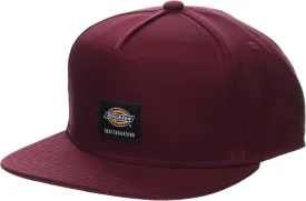 Dickies mens Skateboarding Mid Pro Cap