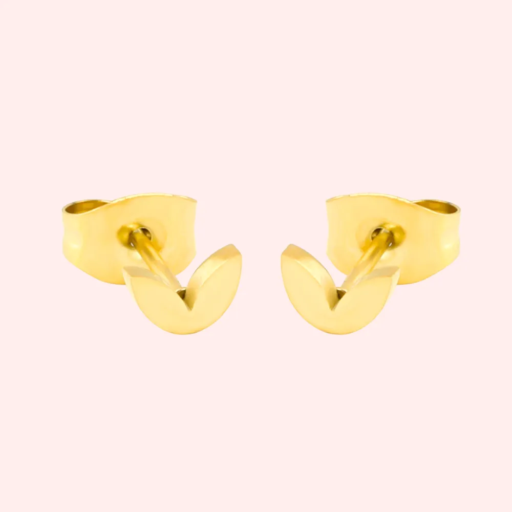 Tiny Leaf Hypoallergenic Earrings