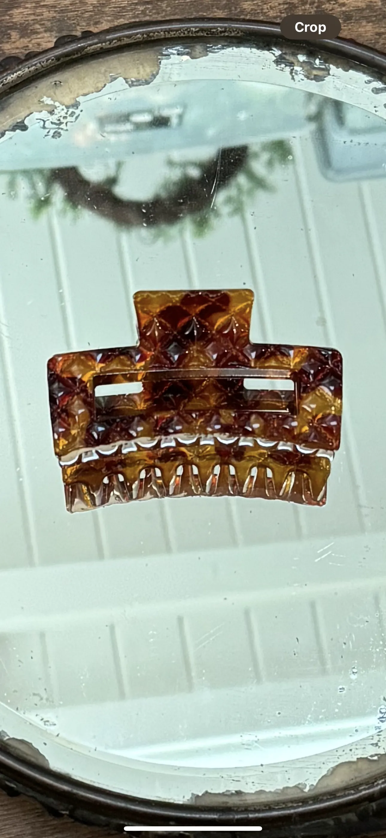 Tortoise Hair Clips