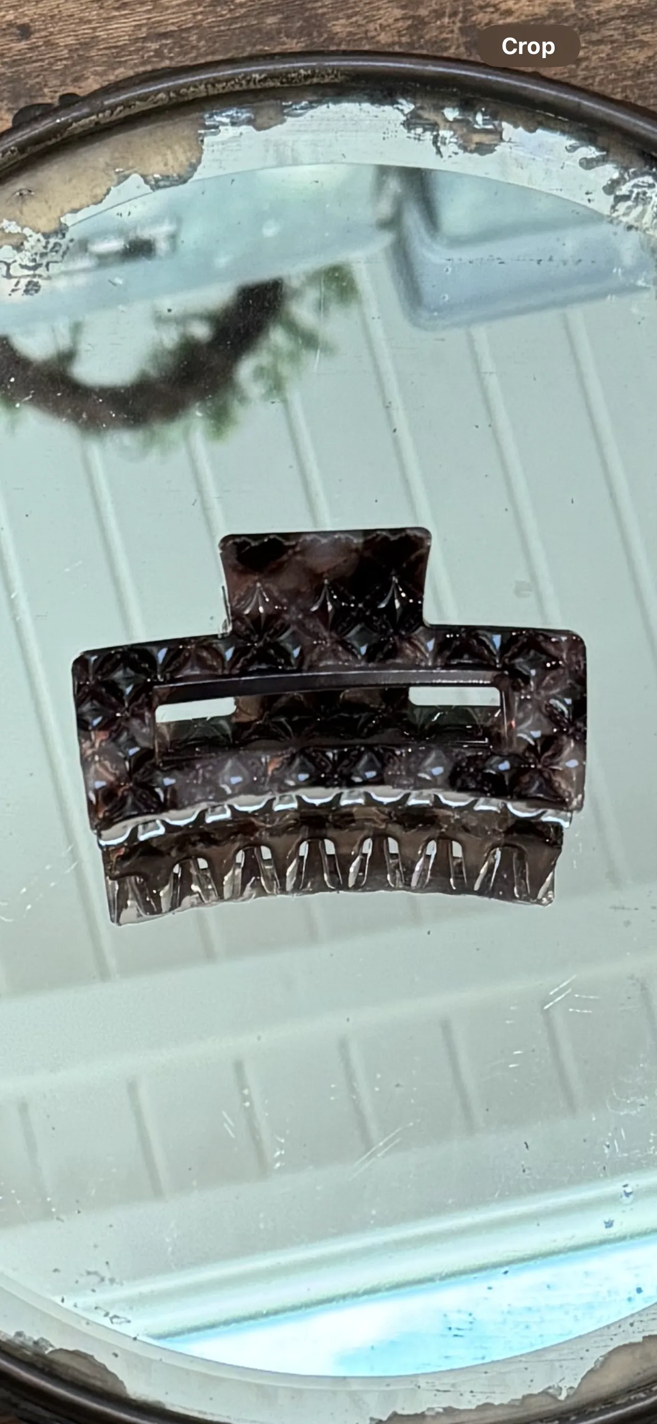Tortoise Hair Clips