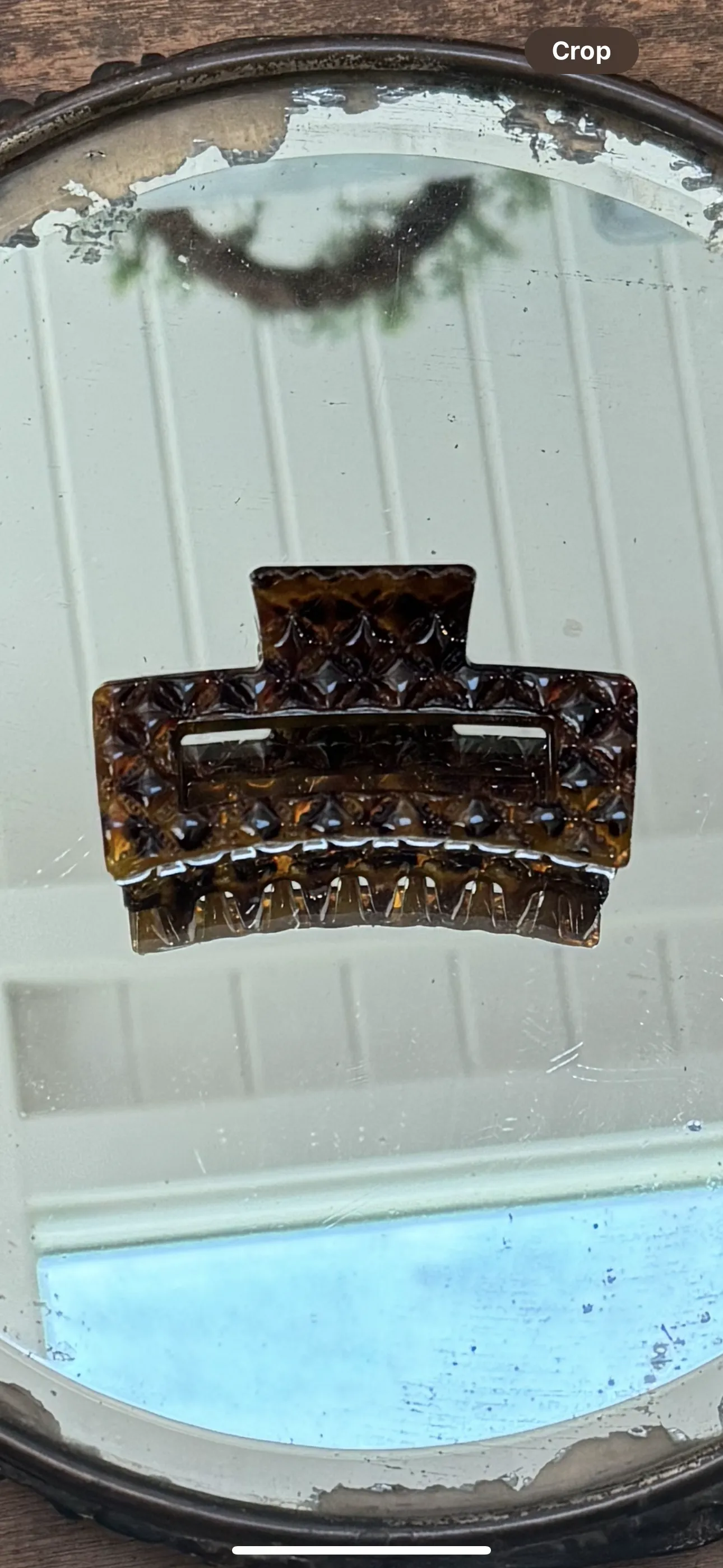 Tortoise Hair Clips